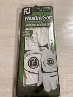 Item thumbnail for item 67a081c7-9b5f-4f90-96bd-f1310527423e