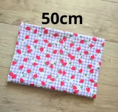 生地　イチゴ　シーチング　50cm