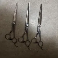 Item thumbnail for item 7583c8c9-c3b7-4ecc-b8a2-516345703fac