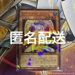 遊戯王　影依の巫女エリアル　ノェルシャドールエリアル　シークレット　パラレル