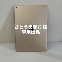 iPad