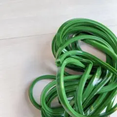 Item thumbnail for item eb8b4175-687f-407e-bf41-7e14b1a07d44