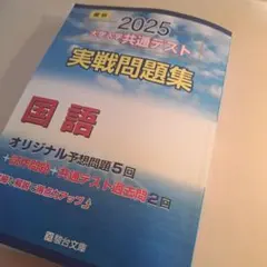 2025 大学入試共通テスト 実戦問題集 国語　駿台