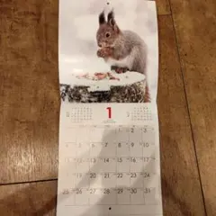 Item thumbnail for item 7a0311db-4716-494e-889c-351f893bb365