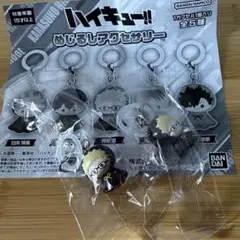 ハイキュー　月島蛍　めじるしアクセサリー 2個セット