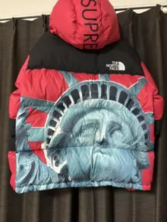 Supreme × ノースフェイス 自由の女神 ジャケット M 美品 即購入可 新品 19AW SUPREME × THE NORTH FACE Statue of Liberty