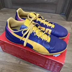 evoSPEED 4.2TT 31センチ