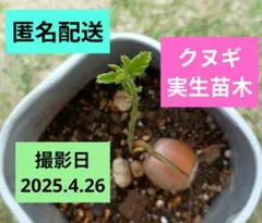 にゃむぱん様 リクエスト 2点 まとめ商品