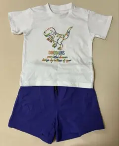 THE SHOP TK キッズ Tシャツハーフパンツセット 恐竜刺繍 100cmのサムネイル
