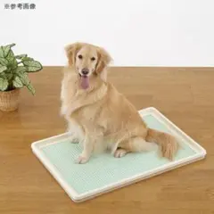 Item thumbnail for item 02ef6c55-bae0-4256-94ba-e9beb29ff137