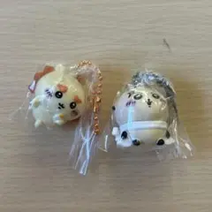 ちいかわ　マスコットつきビスケット　ラッコ　シーサー　２点セット