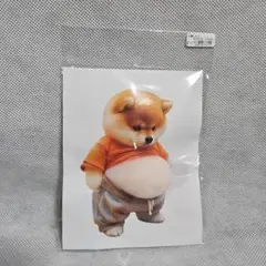 柴犬おなかぷっくりキャラクター ステッカーTikTokで大人気