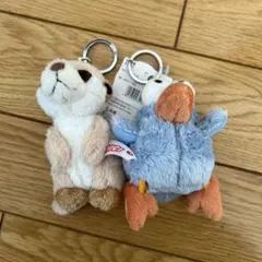 nici ニキ　ハチドリ　ミーアキャット