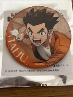 Dr.STONE 缶バッジ 大木大樹