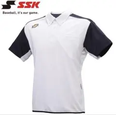 Item thumbnail for item 16871eee-c535-4429-a8fa-d427961c202c