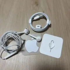 Apple Lightningイヤフォンとケーブルセット