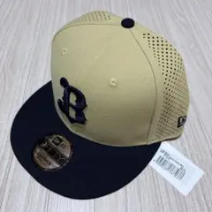 Item thumbnail for item 73a3eb49-9a49-4696-8c00-a03623301cc9