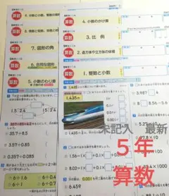 5年 算数 東京書籍/教育同人社 カラーテスト 4枚セット - メルカリ