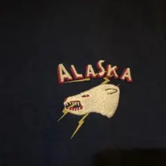 modem design ALASKA 刺繍 Tシャツ ネイビーサイズ1のサムネイル
