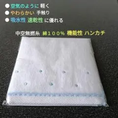 Item thumbnail for item 3b17e2b3-bae0-4e18-be73-4e9f1a4a025b