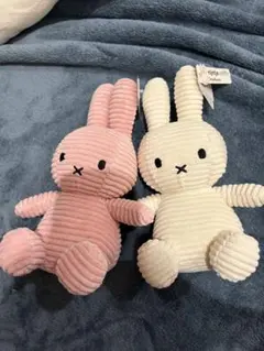 Item thumbnail for item ff76e8a3-8c0f-485b-9be5-16eb39fa6bec