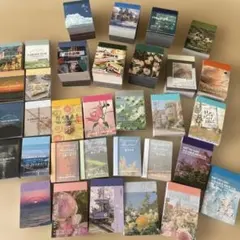 stein様 リクエスト 2点 まとめ商品