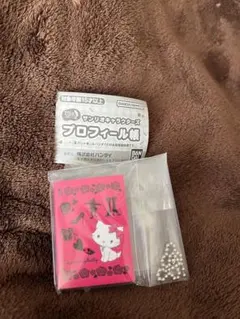 サンリオキャラクターズ プロフィール帳 チャーミーキティ