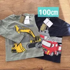 ごろねこ様 リクエスト 2点 まとめ商品