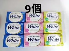 Item thumbnail for item efc8b775-bc88-44f4-85b1-41a82369fd05