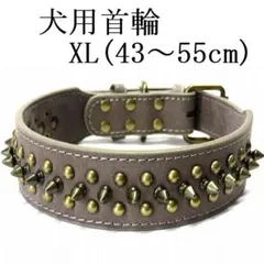 Item thumbnail for item af8beb00-cc80-4bd0-b42c-74901fcf16a8