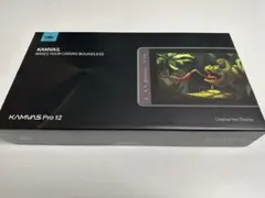液晶タブレット　HUION KAMVAS Pro12のサムネイル