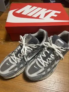 NIKE P−6000 美中古