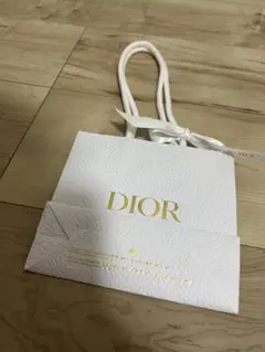 DIOR ショップ紙袋