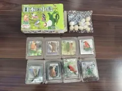 カバヤ　日本の小鳥フィギュア　第２集　8体セット