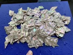 アワビ貝 ニュージーランド産　30g2袋　螺鈿細工　ハンドメイド　ハンドクラフト