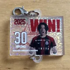 Item thumbnail for item f2f97a29-1a0c-457c-a7d9-76f5d6662095