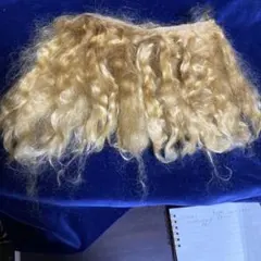 Item thumbnail for item 0fccc949-0367-4c22-92cd-446cefaabd6f