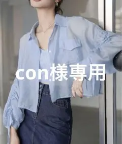 袖シャーリングシアーシャツブラウスのサムネイル