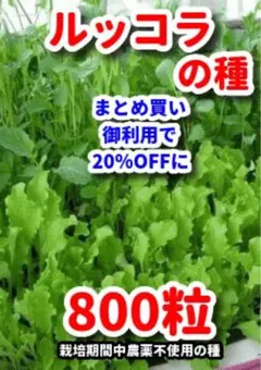 くるくるりん様 リクエスト 2点 まとめ商品