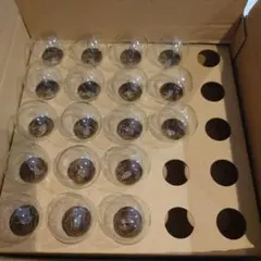 Item thumbnail for item a81c1c17-9c75-47b4-a684-2afe199be08b