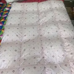 羽毛掛け布団　ロマンス小杉販売　シングル　ポーリッシュダウン90%