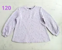 美品【プティマイン】オーガニックコットン 総柄トレーナー　ラベンダー　120