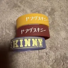 ヤングスキニー ミュージシャン