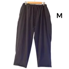 Item thumbnail for item 5ca7c1d9-553d-4ab1-b344-6402a8f5ae77