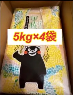 新品　未開封　令和７年産　熊本県産 甲佐町のお米 5kg×4袋 合計20kgのサムネイル