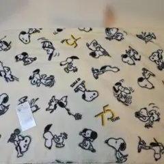 Item thumbnail for item 58157b3c-5ffc-4316-bd82-3bc4fc7440fc