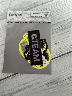 &TEAM Back to Life BREATH ver. ステッカー