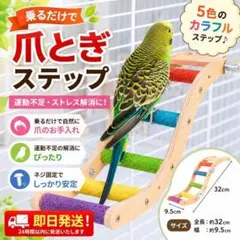 インコ 爪とぎステップ 木製階段 はしご 止まり木 小鳥 鳥 ケージ 運動のサムネイル