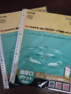 Item thumbnail for item cbbb928d-3af3-433c-baee-d5eb75114aa8