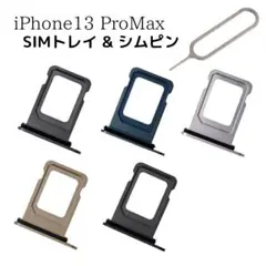 Item thumbnail for item 9049c851-55ec-4b30-ad28-428d9bf4d597